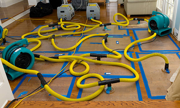Professional Structural Drying And Dehumidification technician working in Los Banos, CA